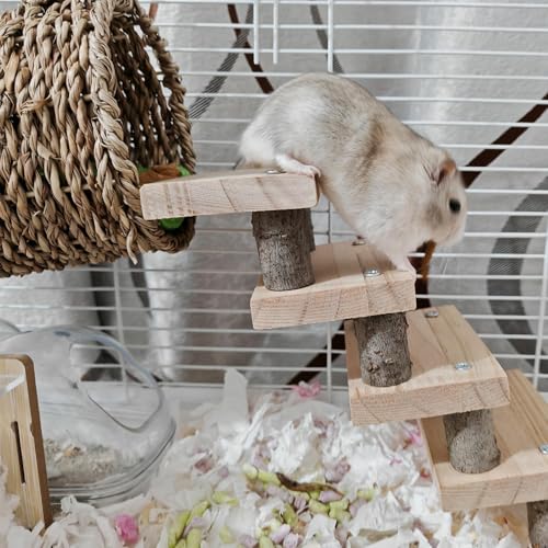 Hamiledyi Hamster Climbing Toys Wood Hanging Hammock Ladder Set Toys Cage Accessories for Syrian Hamster Gerbil Mice