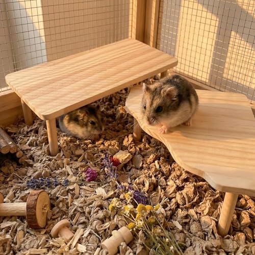 Hamster Platforms, 2 Pcs Wooden Hamster Stand and Table, Modular Playground & Hide for Hamster Cage Accessories for Dwarf Syrian Hamsters Gerbils Mice Degus Small Pets - color: 2 Pcs
