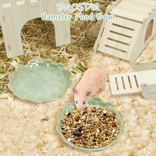 BNOSDM Shallow Ceramic Hamster Food Dish 2 Pcs Small Animals Food Bowl Sunflower Feeding Dishes for Gerbils Mice Rats 4.5in (Green) - color: Green Sunflower
