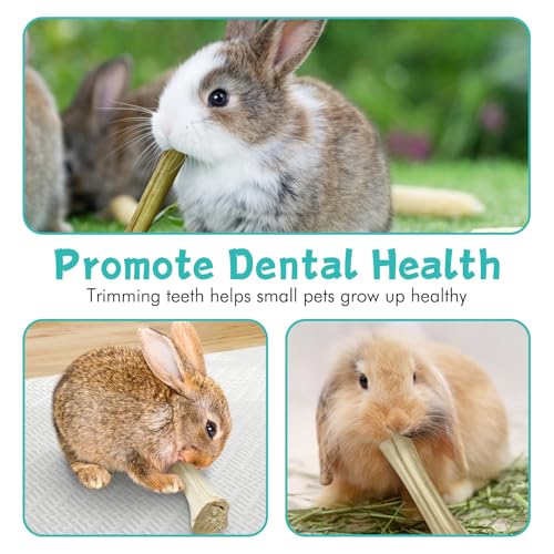 Tfwadmx Rabbit Chew Sticks, 25 Pcs Natural Sweet Bamboo Pet Snacks &40 g Papaya Stems Bunny Chews Molar Treats Chew Toy for Rabbit Guinea Pig Hamster Chinchilla - size: 0.02 Ounce (Pack of 50)