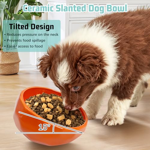 kathson Slanted Ceramic Dog Bowl Tilted 15° Cat Food Water Bowls Dish Animal Pet Comfort Feeding Bowls Heavy Weighted Feeder for Wet or Dry Food (Orange) - color: Orange