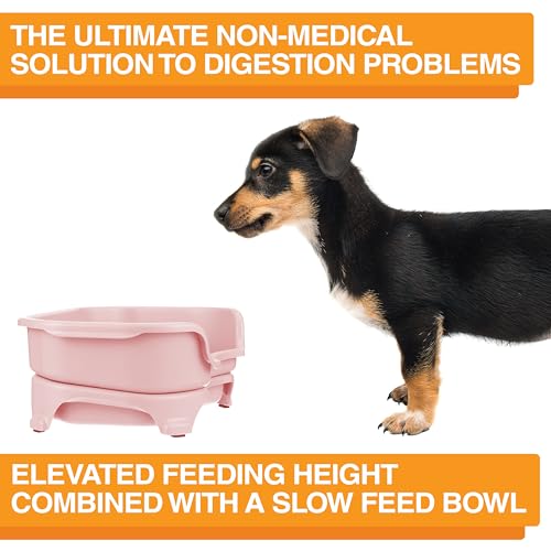 Neater Feeder Express Mess Proof Dog Bowls Elevated for Small Breed – Made in USA – No Spill Raised Slow Feeder Elevated Dog Bowl Stand, Stainless Steel Food and Water Bowl Set, Pink - color: Pink, size: Small w/ Metal Slow Feed Bowl
