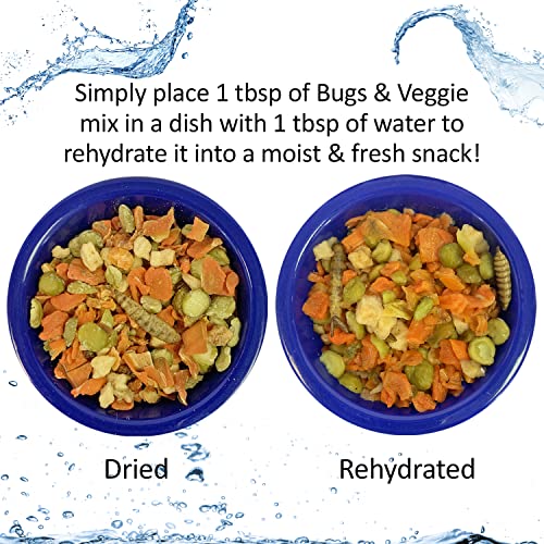 Exotic Nutrition Starter Package for Hedgehogs - Includes Exercise Wheel, Healthy Food, Natural Treat, Multi-Vitamin & Hideout