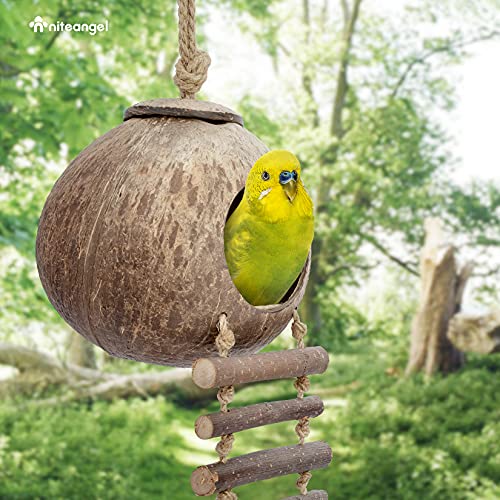Niteangel Natural Coconut Hamster Hideaway with Ladder, Bird and Small Animal Toy (House with Ladder, Smooth Surface) - color: Smooth Surface