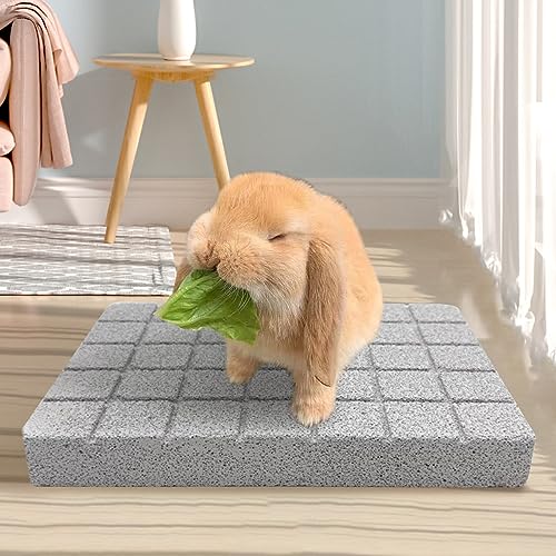 Hamiledyi Rabbit Scratch Foot Pads - 4 PCS Natural Small Animal Lava Stone Teeth Grinding & Scratching Pad for Rabbit, Guinea Pig, Rat, Gerbil, Chinchilla, Hedgehog - color: White-4PCS