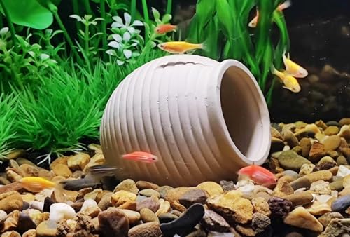 SpringSmart Aquarium Decor Rock Betta Fish Tank Decorations Ceramic Hideout Stone for Fish Shrimp Turtle Crab to Breed, Rest and Play, Small Fish Bowl Hiding Cave, Pot Shaped Betta Toys - size: TG