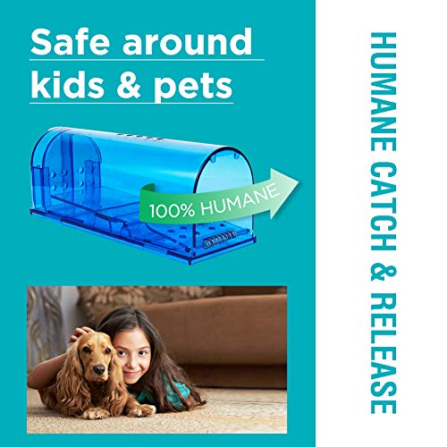 Blinc [6-Pack] Humane Mouse Trap - Catch and Release No-Kill Rodent Traps for Indoors & Outdoors - Safe for Children & Pets - Reusable Mouse Catcher for Kitchen, Pantry & Garage (Transparent Blue) - size: 6 Pack