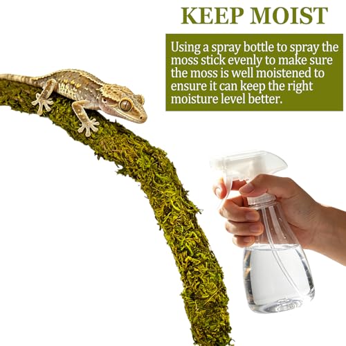2PCS Leopard Gecko Climbing Toys Bendable Vine Tank Accessories for Lizard | collapsible moss,terrarium decor,natural,Great Moisture Retention,for crab geckos Chameleons,length of 19.7 inches,climbing