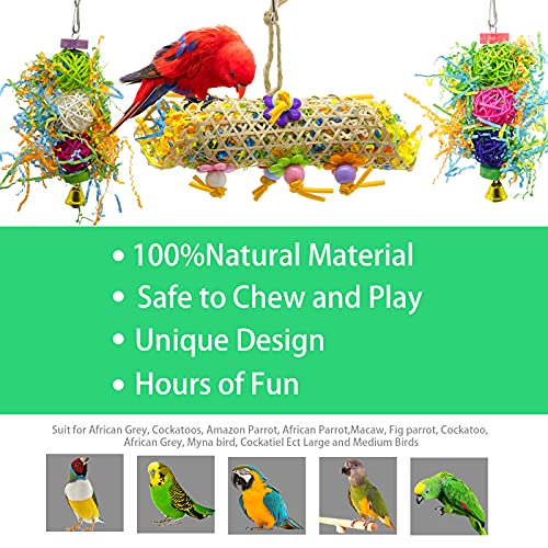 EBaokuup 3Pack Bird Chewing Toys Foraging Shredder Toy Parrot Cage Bird Loofah Hanging Toy for Cockatiel Conure African Grey Parrot - color: 3 PCS