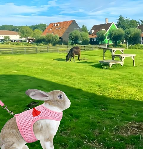 2 Pack Adjustable Bunny Rabbit Harness and Leash Set Breathable Mesh Vest Harness for Rabbits Kitten Ferret Puppy Small Pets Walking Supplies-Grey&Pink,L