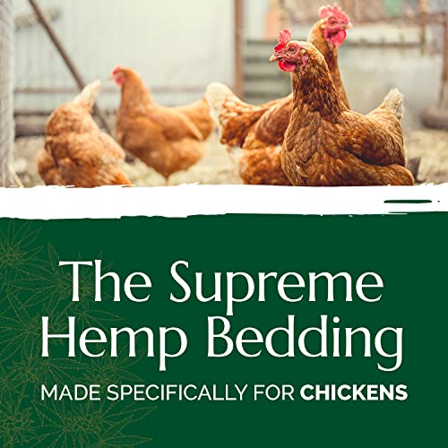 AubiChick High Grade French Hemp Bedding, 44lb (400L) Jumbo Bulk Bag for Chickens, Ultra Absorbent, Designed for Chicken Coop Bedding and Comfort of Birds, Poultry, Hairless Pets, Easy Manure Removal