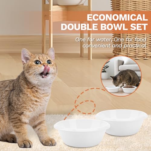 2PCS Cat Bowls Pet Feeding Dish 6.3 Inch, Wide Pet Bowl Pet Feeding Bowl for Indoor Cats, Replacement Food and Water Bowl, Wide Shallow Feeder Bowls for Kitten, Puppy, Rabbit (White) - color: White