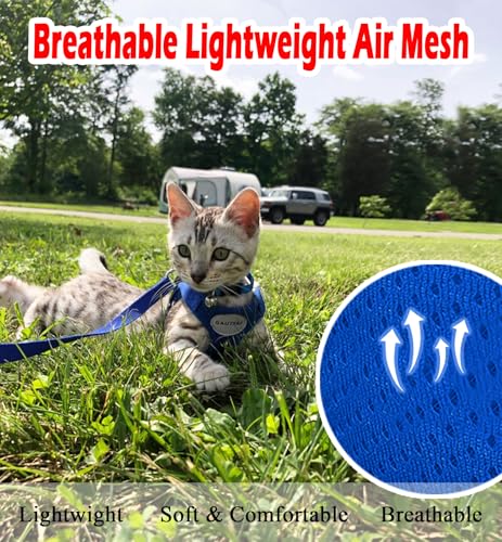 Cat Harnesses and Puppy Harness with Leashes Set, Escape Proof Cat Harness, Adjustable Reflective Soft Mesh Vest Fit Puppy Kitten Rabbit Ferrets's Outdoor Harness - color: Blue, size: XS (Chest: 6" - 8")