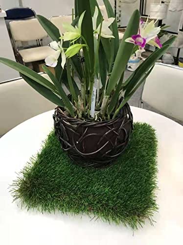 KuGuo Artificial Grass Mat, 12 x 12 in, Buffalo Grass | Flexible turf square for pet areas, crafts, plant displays and tabletop décor, trim to fit for indoor or outdoor projects