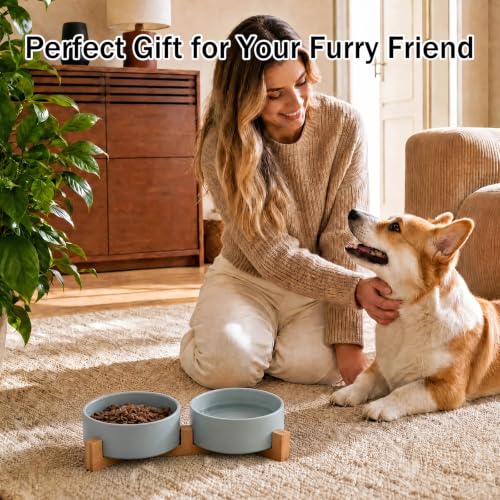 MateeyLife Ceramic Dog and Cat Bowls with Stand, 2-Pack Food and Water Bowl Set - Non-Slip Pet Bowls for Cats,Puppies and Small Dogs, 13.5OZ（Green） - color: Green, size: S-1.5Cup