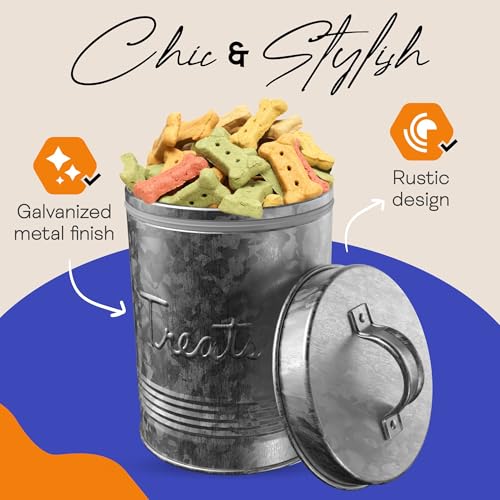 Amici Pet, Retro Treats Galvanized Relief Lettering Metal Storage Canister, Food Safe, Push Top, 72 Ounces (Pack of 2) - size: Large/72 oz (Pack of 2)