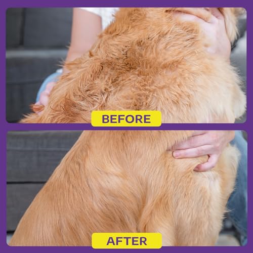 Hertzko Cat and Dog Dematting Tools Single Sided Dog and Cat Dematting Comb - for All Pets - Effortlessly Removes Tangles, Mats, and Loose Fur - Safe, Easy Grooming for Cats and Dog - Large - size: 10 Teeth