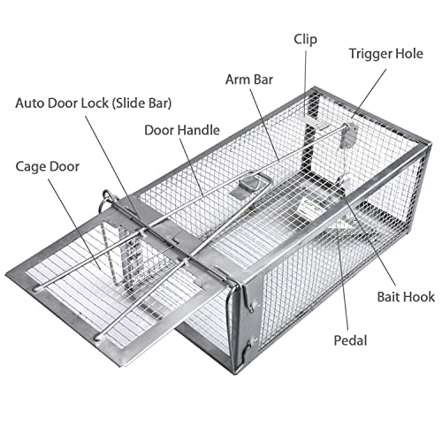 Gingbau Rat Chipmunk Trap Humane Live Mouse Vole Cage Trap - color: Silver