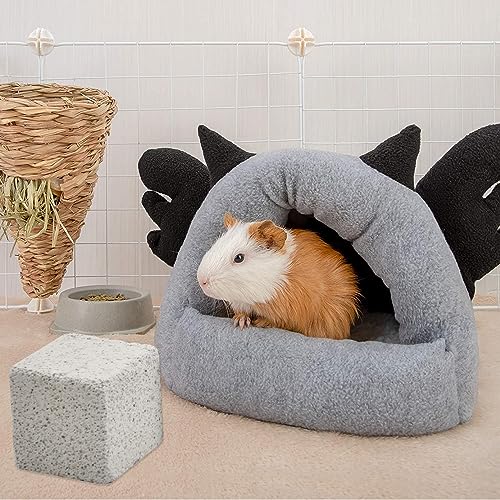 PINVNBY 9 Pcs Lava Blocks for Chinchillas,Hamster Chew Stones Square Mineral Calcium Bunny Teeth Pumice Grinding Chew Toys for Guinea Pig Rat Rodent - size: 【9 PCS】