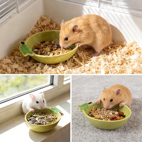 Small Guinea Pig Food Bowl Cute Ceramic Hamster Water Bowl Ferret Rat Chinchilla Rabbit Feeding Dish Young Animal Feeder (Avocado Green) - color: Avocado Green