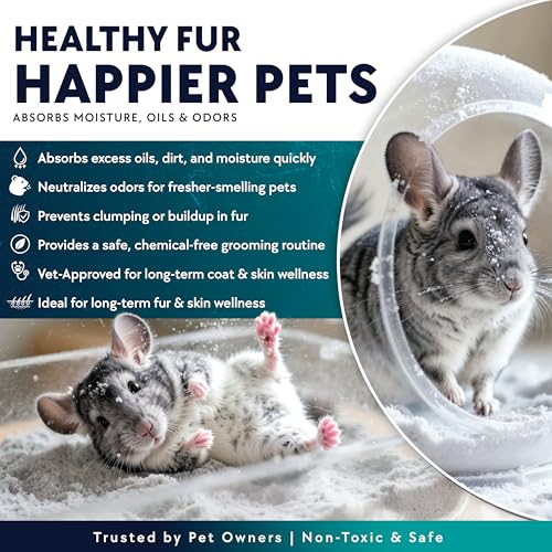 3 LB. Chinchilla Dust Bath Jar - Pure Cleansing Pumice Sand Dust for Cleaning Small Pets Like Gerbils, Mice, Degu - Premium, All Natural Dusting Powder - Chinchilla Accessories by Billy Buckskin - size: 3 Lb.