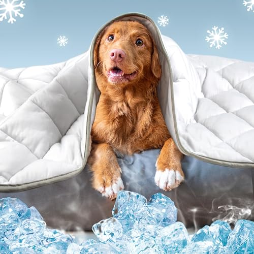 Leekalos Dog Cooling Mat Blanket - Portable Pet Cooling Cushion For Home & Outdoor - color: Cool Grey, size: X-Large(55"x80")