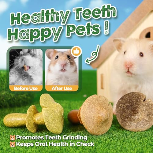 TEEWY 3PCS Guinea Pig Chew Toys, Prevent Teeth Overgrowth, Natural Timothy Grass & Vegetables, Hamster Chew Toys, Guinea Pig Toys, Chinchilla Toys, Mushroom-Shaped - style: 3PCS-Mushrooms