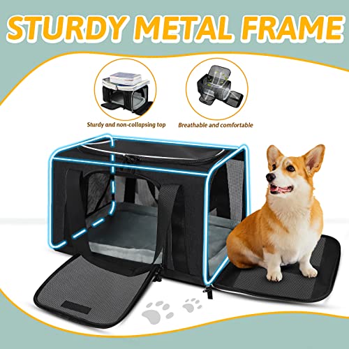 Small Pet Carrier 18" L x 11" W x 11" H Airline Approved, Black | for Delta/American/United Airlines, Lockable Safety Zippers and Anti-Scratch Mesh, Pets Under 10 lbs - color: Black, size: 18.0"L x 11.0"W x 11.0"H