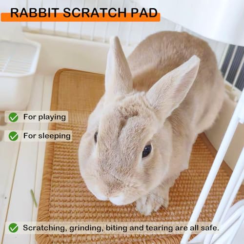 Rabbit Scratching Pad Natural Sisal Bunny Scratch Pad 16 x 12 Inch, Claws and Teeth Care Rabbit Scratcher Mats Chew Toys Indoor Bunny Accessories for Bedding Biting Sleeping Resting(2 Pack) - color: Brown, size: 15.7" x 11.8" (2 Pack)