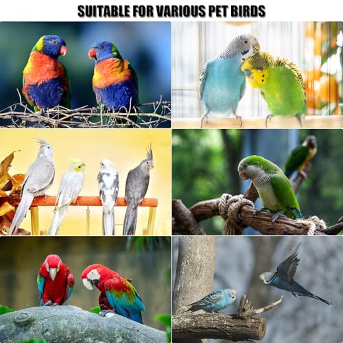 Bird Perch,1PC Wooden Parrot Stand Perch,Bird Ladder Bridge Climbing Chewing Toys for Small Medium Animals (5 Ladders) - color: 5 Ladders