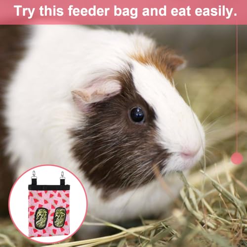 DZWLKJ Guinea Pig Hay Feeder, 600D Polyester, Watermelon, Rabbit Hay Feeder Bag, Guinea Pig, Chinchilla, Hamsters, Small Pets, 1 Pack, Foldable, Lightweight - size: M -11"x 9"x 1"