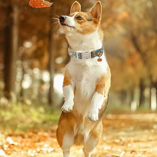 ARING PET Fall Dog Collar, Cute Autumn Halloween Pumpkin Pet Collars for Puppy Small Medium Large Giant Girl Boy Dogs-XS - color: Fall Two Pumpkin, size: X-Small