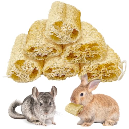 BNOSDM Bunny Chew Toys Natural Loofah 6PCS Bunny Teeth Grinding Toy Rabbit Fiber-Rich Treats Pet Entertainment Accessories for Rabbits Chinchillas Guinea Pig（L） - color: L-6PCS