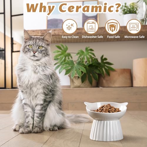 Ceramic Raised Cat Bowl，Tilted Raised Bowl Anti Vomit for Indoor Cats Whisker Friendly Pet Feeder for Cats Puppies, Microwave and Dishwasher Safe (White-2 Pack) - color: White-2 Pack