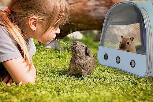 Guinea Pig Carrier Backpack, Clear Bubble Window Backpack for Guinea Pig, Bunny Rat Bird (Blue, Carrier) - color: Blue