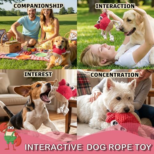 Plush Squeaky Crab Dog Toy with Rope Legs - 5.5''X9.5'' Durable Dog Chew Toy for Small Dogs | Built-in Whistle Sounds | Teeth Cleaning | Interactive Dog Toys （RED）