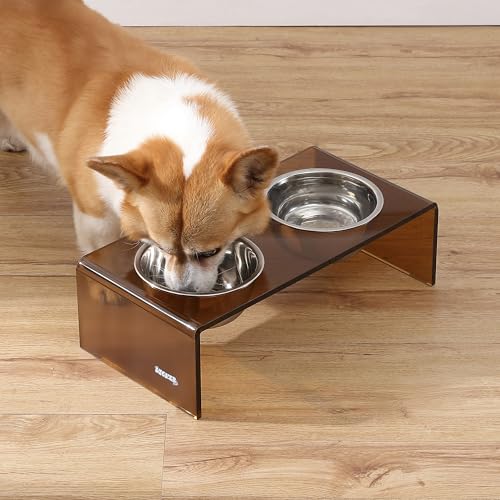 DBL2000D Keaton 5" Small/Medium Modern Acrylic Rectangular Elevated Pet Feeder with 20oz 2-Stainless Steel Bowls, Amber/Chrome - color: Amber/Chrome, size: 20 Ounces (5" Cups 2-Pack)
