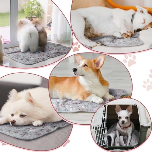 Panelee 4 Pcs 24 x 16 Inch Waterproof Dog Puppy Pads Soft Cat Blankets Dog Sleep Mat Absorbent Pet Blanket Paw Pattern Whelping Warm Pads Fleece Puppy Potty Training Pad Reusable(Gray) - color: Gray