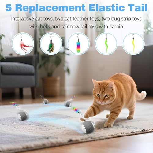 Upgraded 2.36 Inch Large Interactive Cat Toys Ball for Indoor Cats, Gray | Motion and Sound Activated, 2 Speeds, Rechargeable, 5 Replaceable Tails, Stuck-Free Motor, Pink Also Available - color: Gray
