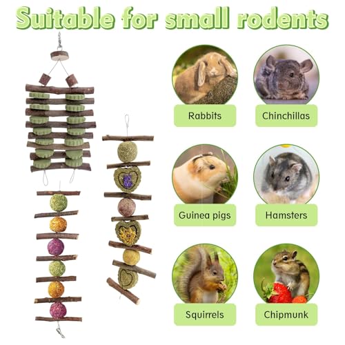 Hamiledyi Bunny Chew Toys Rabbit Hanging Toys for Teeth Grinding Rabbit Toys Natural Fruit Sticks Timothy Grass Cakes Chew Toys and Treats Improve Dental Health for Guinea Pig Hamster Chinchilla - style: Style C
