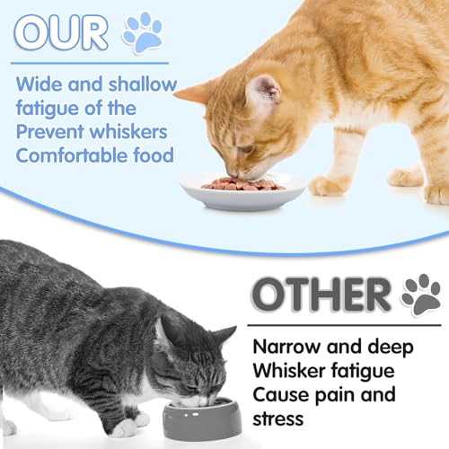 6 Pack Cat Food Bowl, Ceramic Cat Bowls, Anti Whisker Fatigue Cats Bowl Set | 5.5 Inches Shallow Wide Kitten Plates for Food and Water (White-C) - color: White