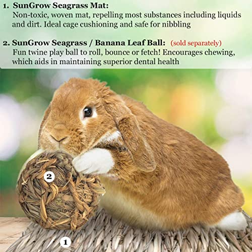 SunGrow Rabbit Grass Mat, Bunny Cage Accessories, Rabbit Stuff and Supplies, Handmade, Edible Accessory Chew, Keep in Cage or on Floor, 1 pc