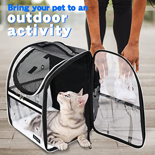 BAGLHER Cat Carrier Backpack, Airline Approved Pet Travel Carrier with Fleece Pad for Puppy and Small Animals - color: Grey2, size: Non-Expandable