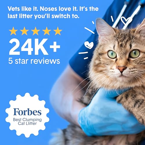 Boxie Probiotic Clumping Cat Litter 40+ Day Odor Control Dust Free 28 lb - size: 28 Lb