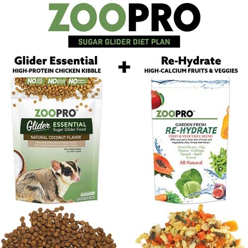 Madagascar Cage & Starter Package for Sugar Gliders - Includes Durable Cage, Exercise Wheel, Healthy Food Assortment, Water Bottle, Food Dishes & Nest Pouch