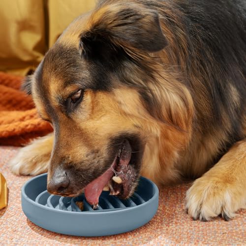 Slow Feeder Dog Bowls - Medium Size Silicone Slow Eating Dog Bowl for Puppies & Dogs with Suction Cup -Dishwasher-Safe, Lick Mat Design, Reduces Gulping,for All Breeds,7.5”x1.5”- Ocean - color: Ocean - Rainbow Design, size: Medium (7.5” Across x 1.5” Tall