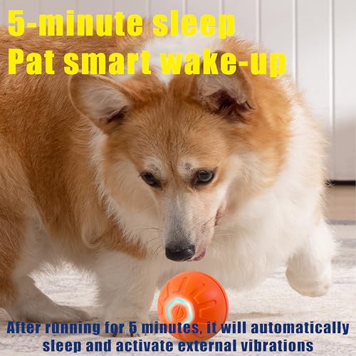 Interactive Self-Moving Pet Toy Ball - Motion-Activated Auto Rolling, Military-Grade Chew Resistant, USB-C Rechargeable for Small Dogs & Cats (Orange, Small) (Blue, Small)