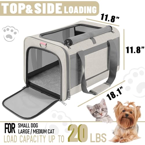GAPZER Large Cat Carrier Soft, Collapsible Travel Pet Carry Bag, Small Dogs | Big Kitten Cat 20lbs Mainecoon, Top Open Travel Shih-Tzu Pet Kennel, Yorkie Small Dog 10 Pound, 18x12x12, Durable Cloth Beige - color: Beige