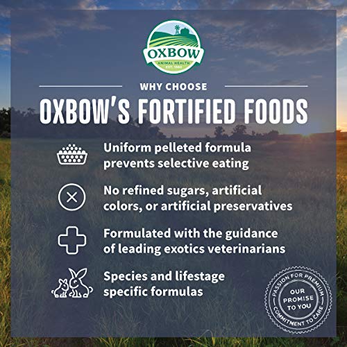 Oxbow Garden Select Young Guinea Pig Food, Uniform Guinea Pig Pellets, 4 lb | Guinea Pig Food, Timothy Hay, Alfalfa, High Fiber for Digestive Health, Vitamins & Minerals, Prevents Selective Feeding - size: 4 Pound (Pack of 1)