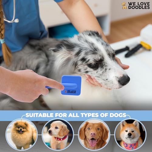 Slicker Brush for Dogs, Pet Grooming Brushes for Doodles & Poodles, Small | Best Brush For Long Haired Dogs, Dematting Comb & Deshedding Tools For Goldendoodle Coats, Puppy Matting Grooming Supplies - size: Extra Small Slicker Brush